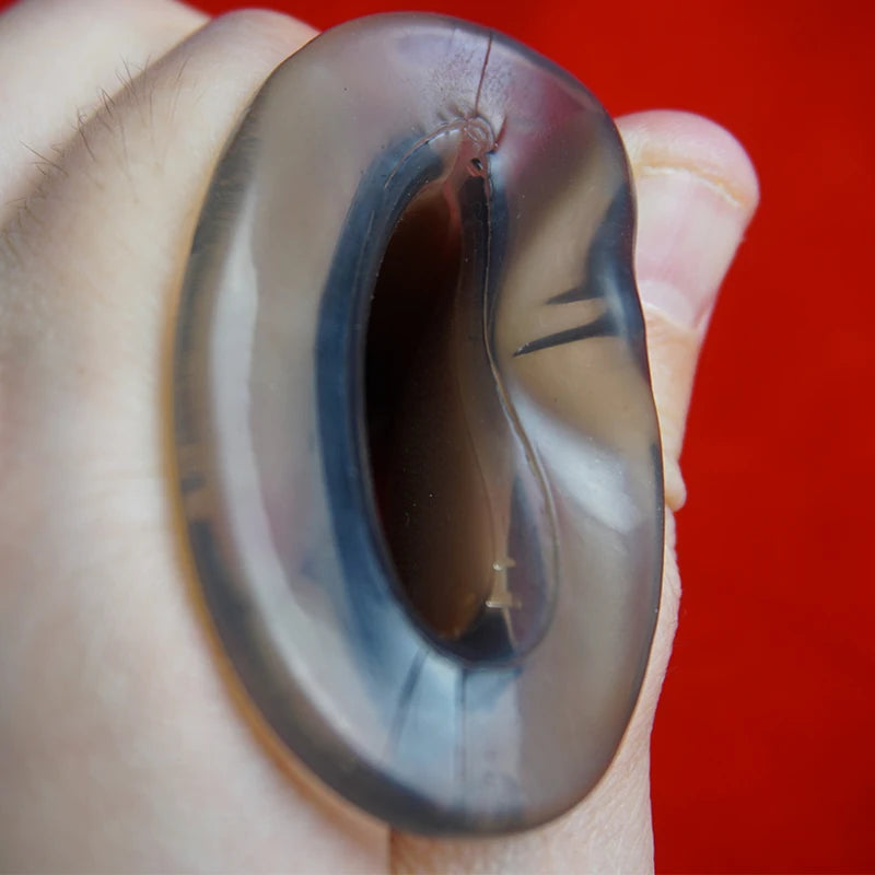 Tunnel Anal Plug