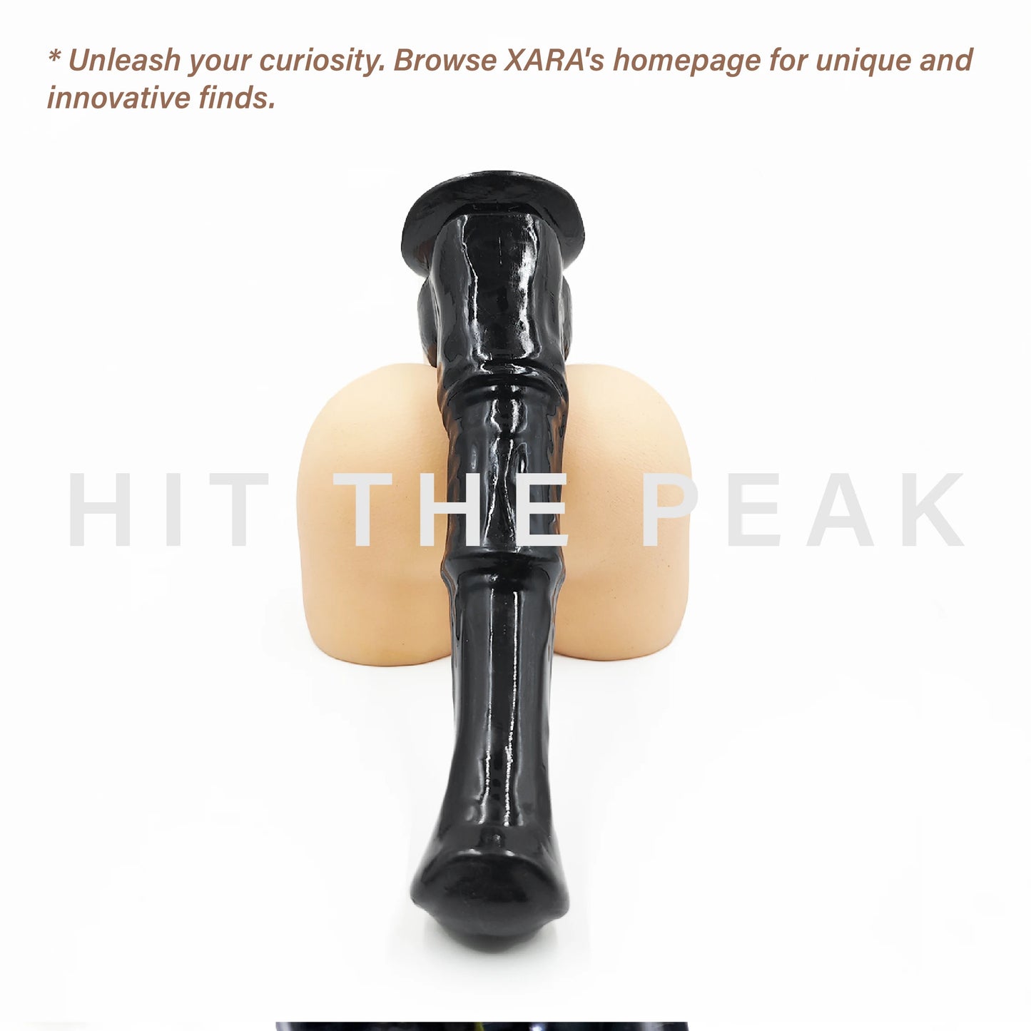 Horse Dildo