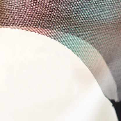 Transparent Panties