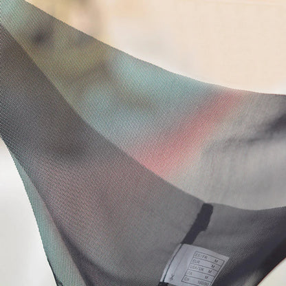 Transparent Panties
